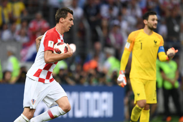 他们不仅是 他们不仅是