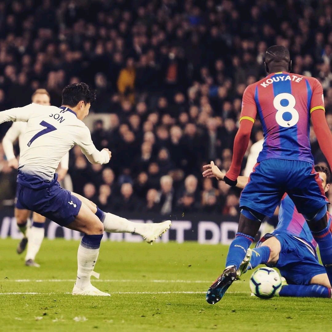 还包括一些 还包括一些